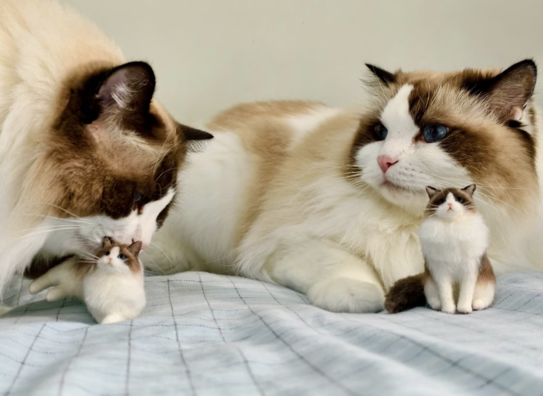 Mini Full Body Figurine