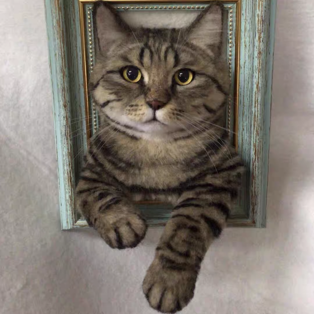 Framed Pet Portrait-Cat