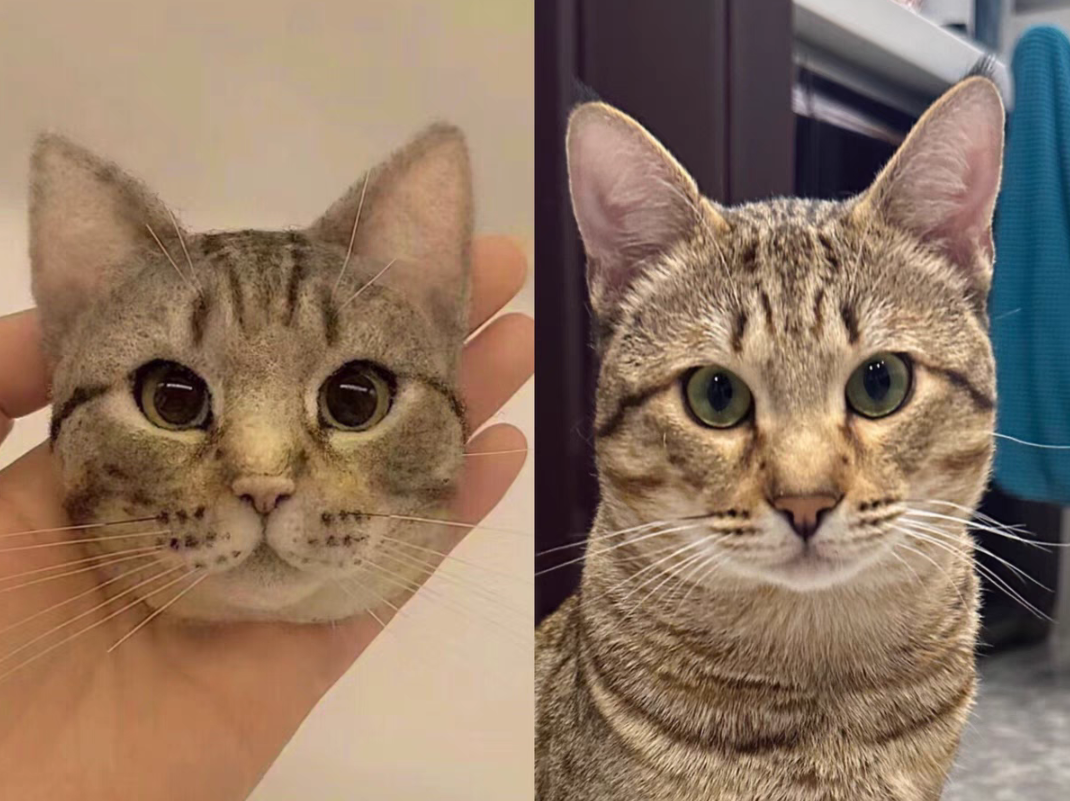 Custom Pet Portrait-Cat