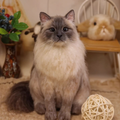 Full Body Figurine-Cat