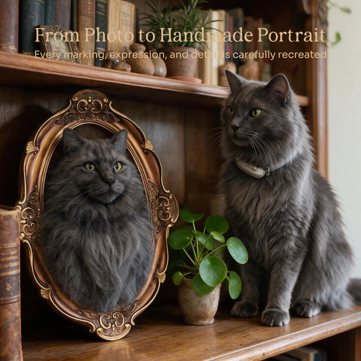 Framed Pet Portrait-Cat